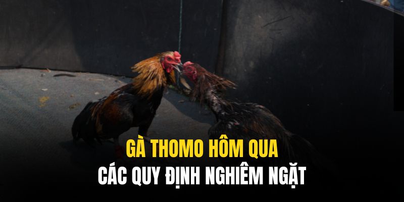 Những quy định chặt chẽ được thiết lập để mang đến sự chuyên nghiệp, công tâm